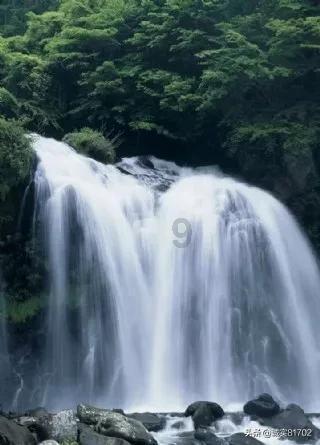 当你在拉屎时，你的外卖到了，要怎么办？游戏画面